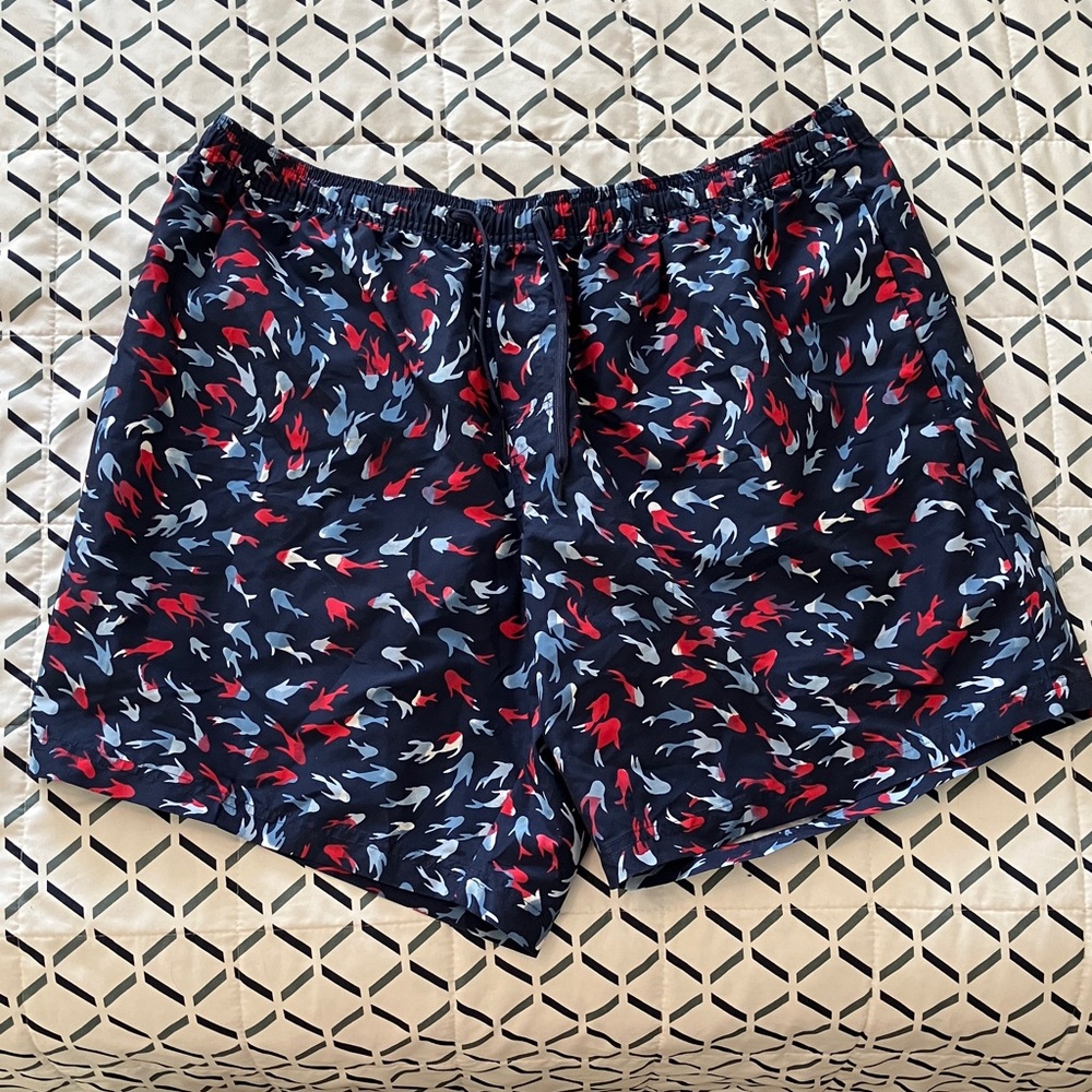 Southern Proper Swim Trunks